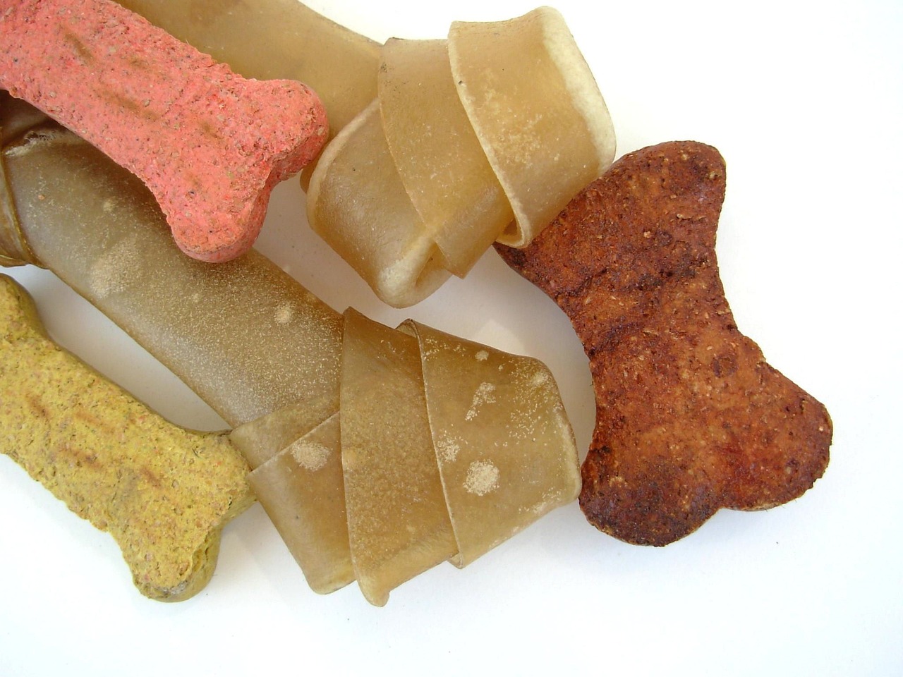 Healthy Dog Treats for Dental Care: Promoting Strong Teeth and Gums