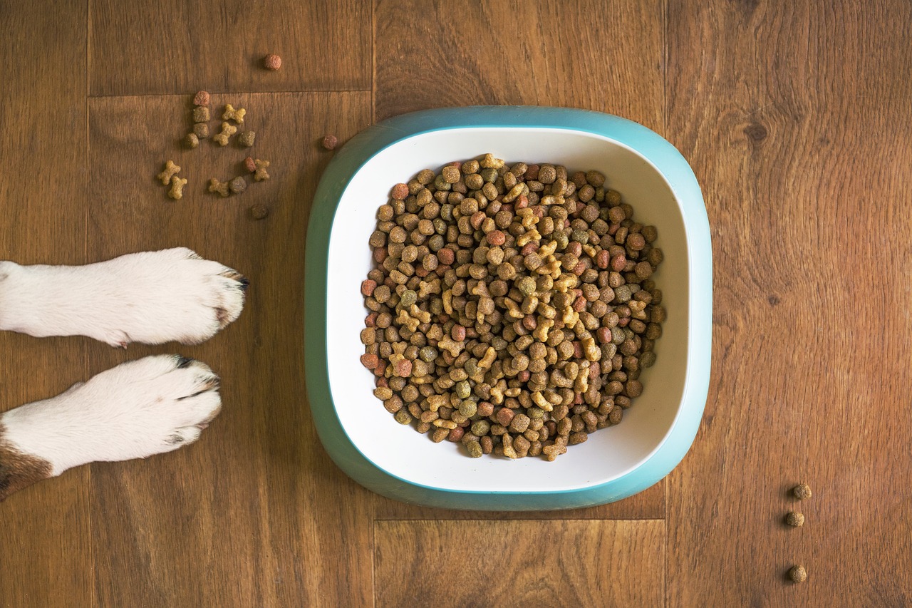 Dealing with Obesity in Dogs: Healthy Treats for Weight Loss